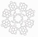 turtle round