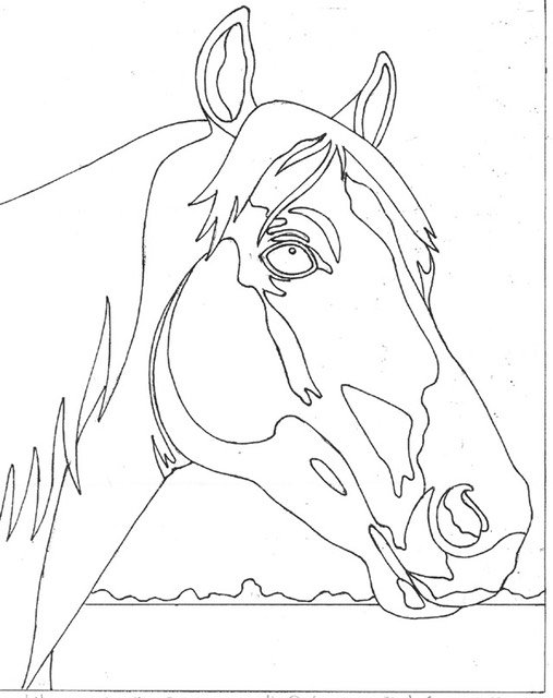 horse