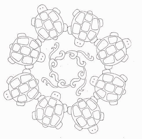 turtle round