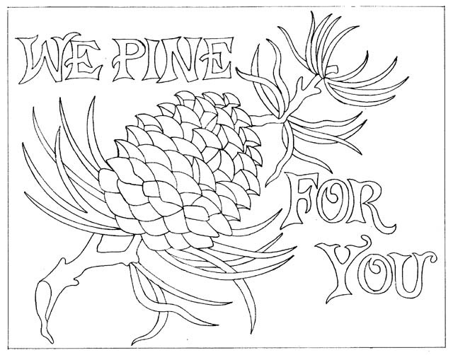 we pine for you